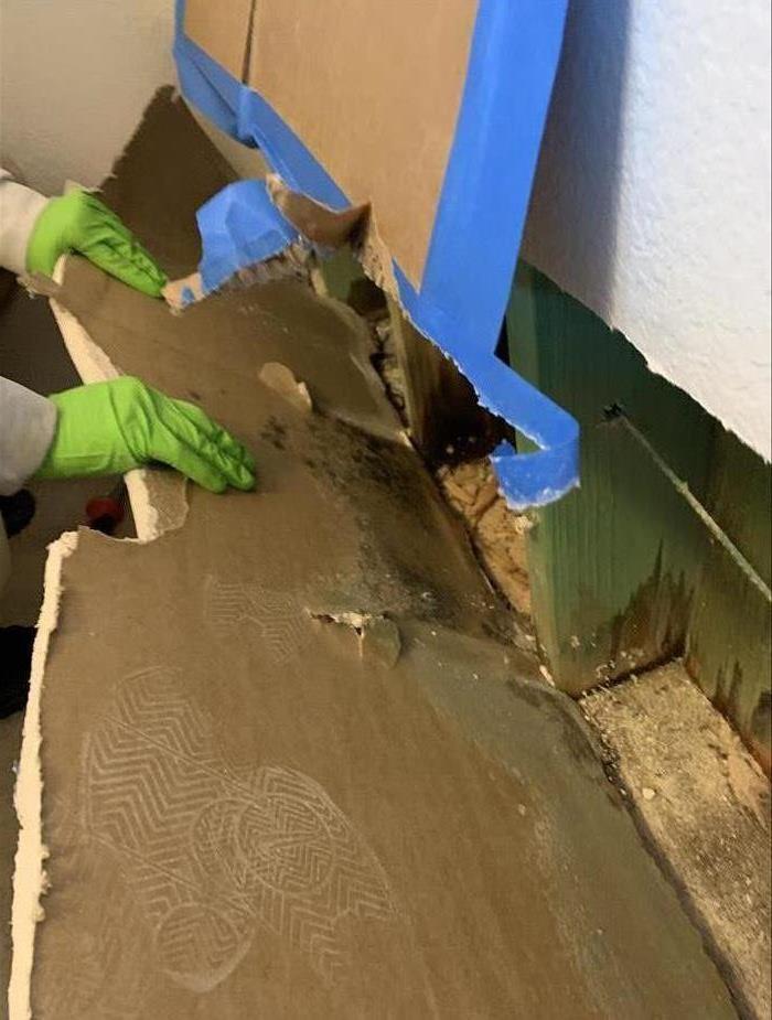 Mold located behind drywall
