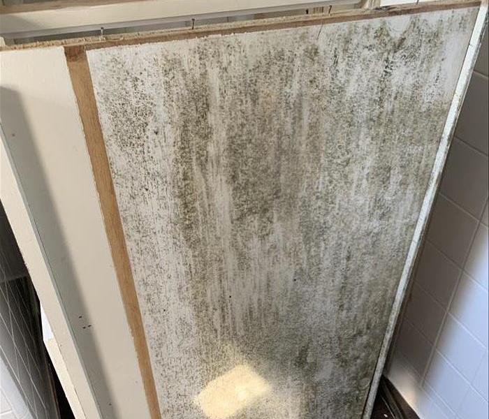 Mold located in vanity